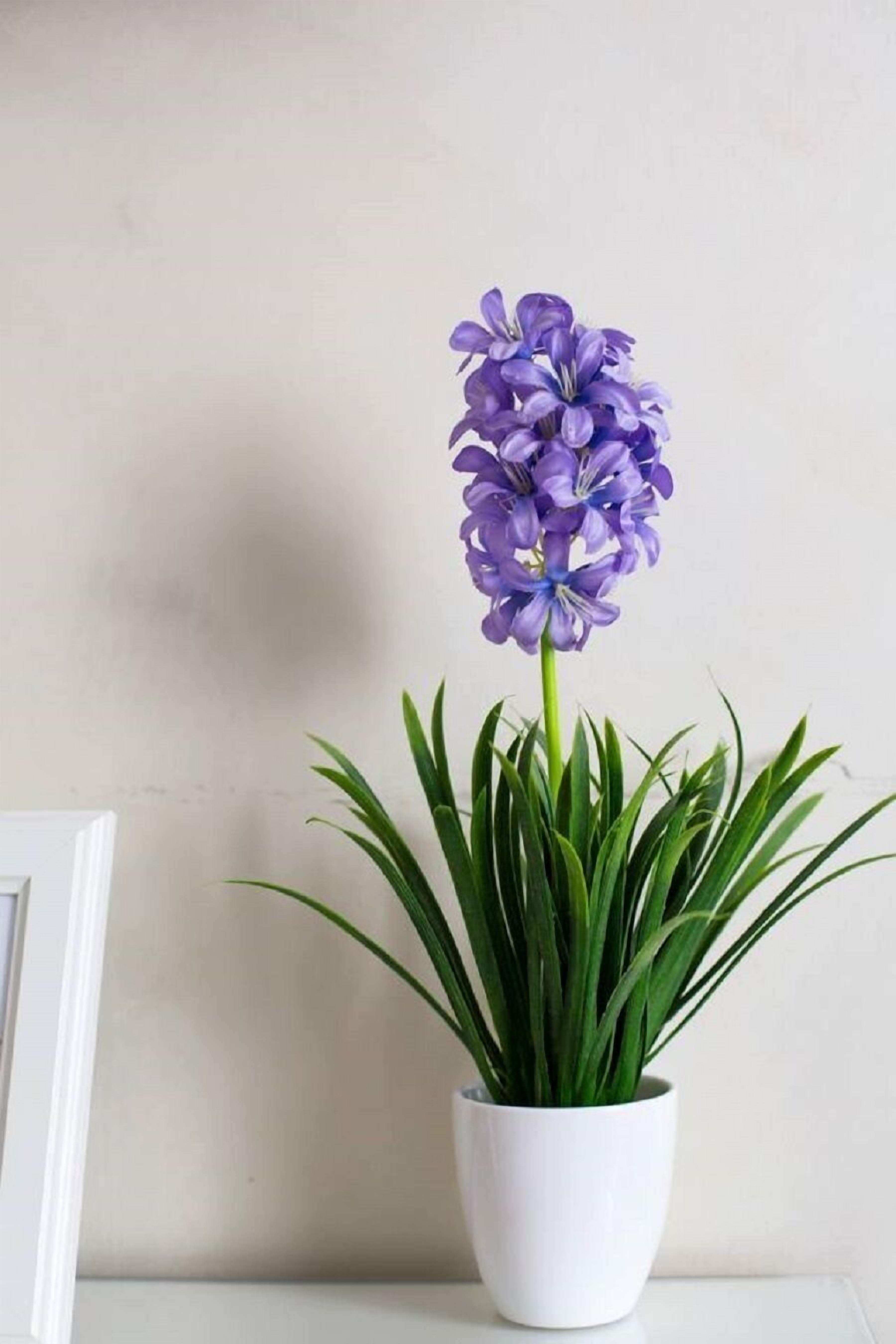 Roma Enrico Guesthouse — Photos 1